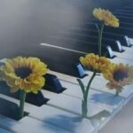¿Nos sienten las flores?