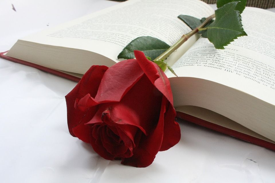 varonil Marte Crítico Solicita un ramo de rosas en Lysa Flores para Sant Jordi!