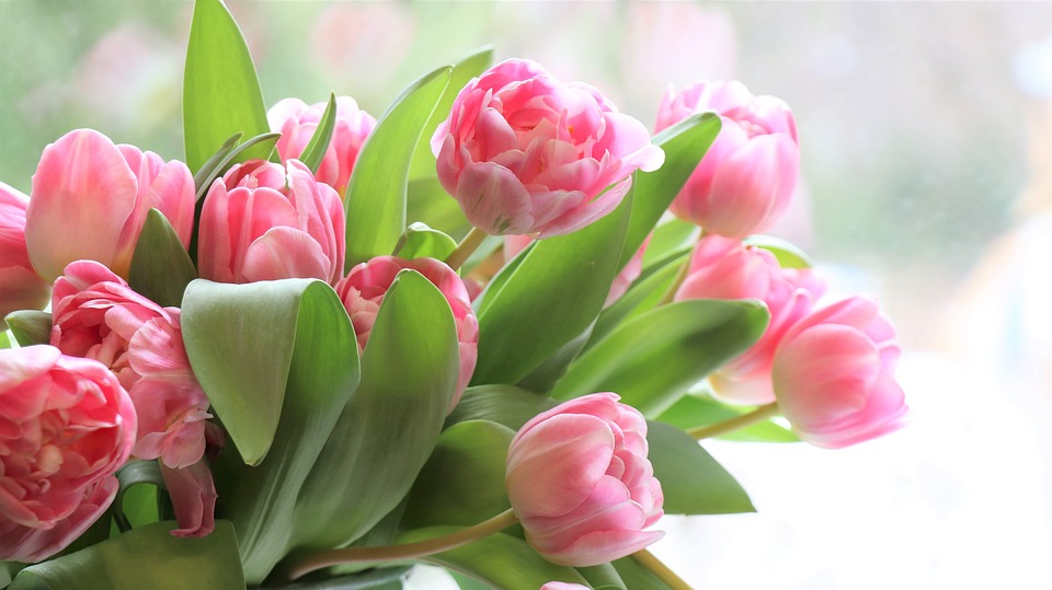 Image result for flores frescas