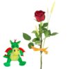 1 Rosa Roja Sant Jordi + Peluche Dragón