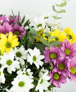 Envio a domicilio Rainbow margaritas