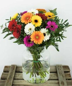 ramo de gerberas diferentes colores