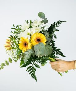 Envio de ramo economico y barato