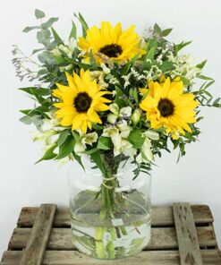 Enviar ramo de girasoles a domicilio