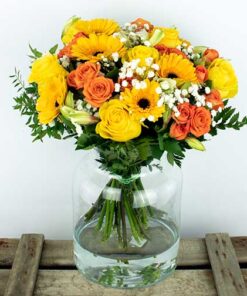 Summertime Lysaflores