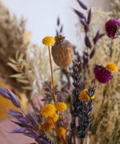 Ramo flores secas Jagger close up