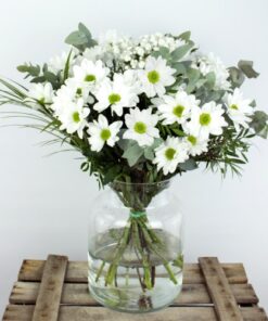 Ramo de flores con margaritas blancas